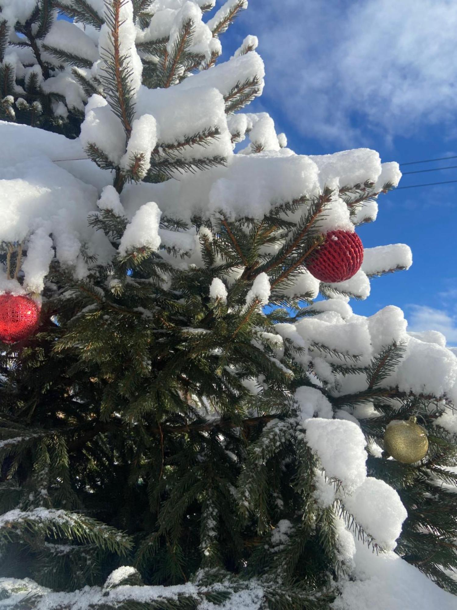 Karpats'kyi Kalejdoskop Hotel Slavske Bagian luar foto